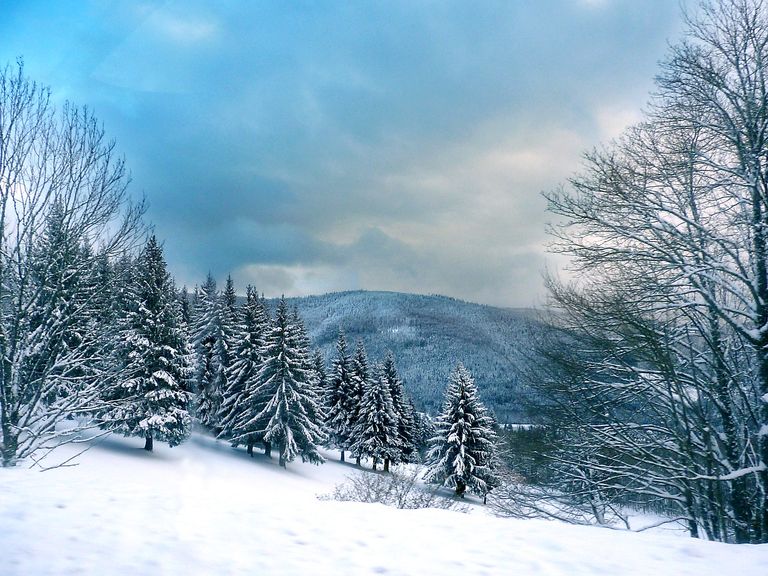 Neige Neige