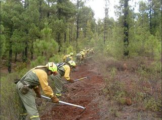 Decálogo básico para la prevención de incendios forestales