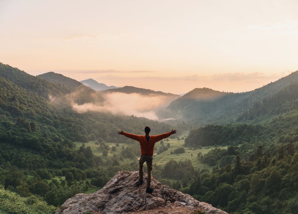 Réduire nos émissions de CO2 ne suffira pas à réguler le climat. Les vraies solutions sont déjà là.