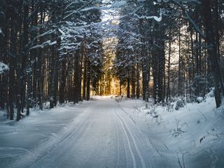 December Climate Outlook: A Warm Start to Winter Anticipated Across the U.S.