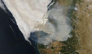 Decenas de muertos por incendios forestales en Chile