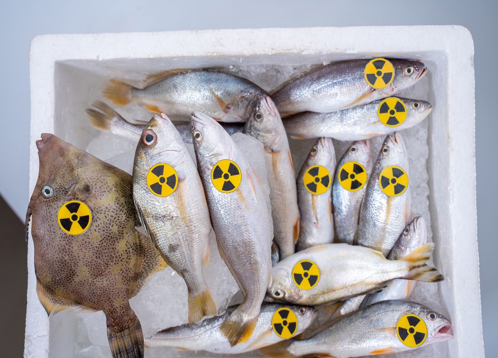 Poissons contaminés par les déchets radioactifs. Poissons contaminés par les déchets radioactifs.