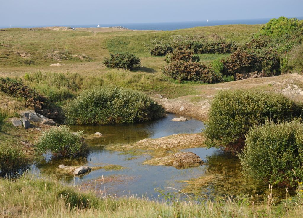 Les dunes de la presqu'île. Les dunes de la presqu'île.