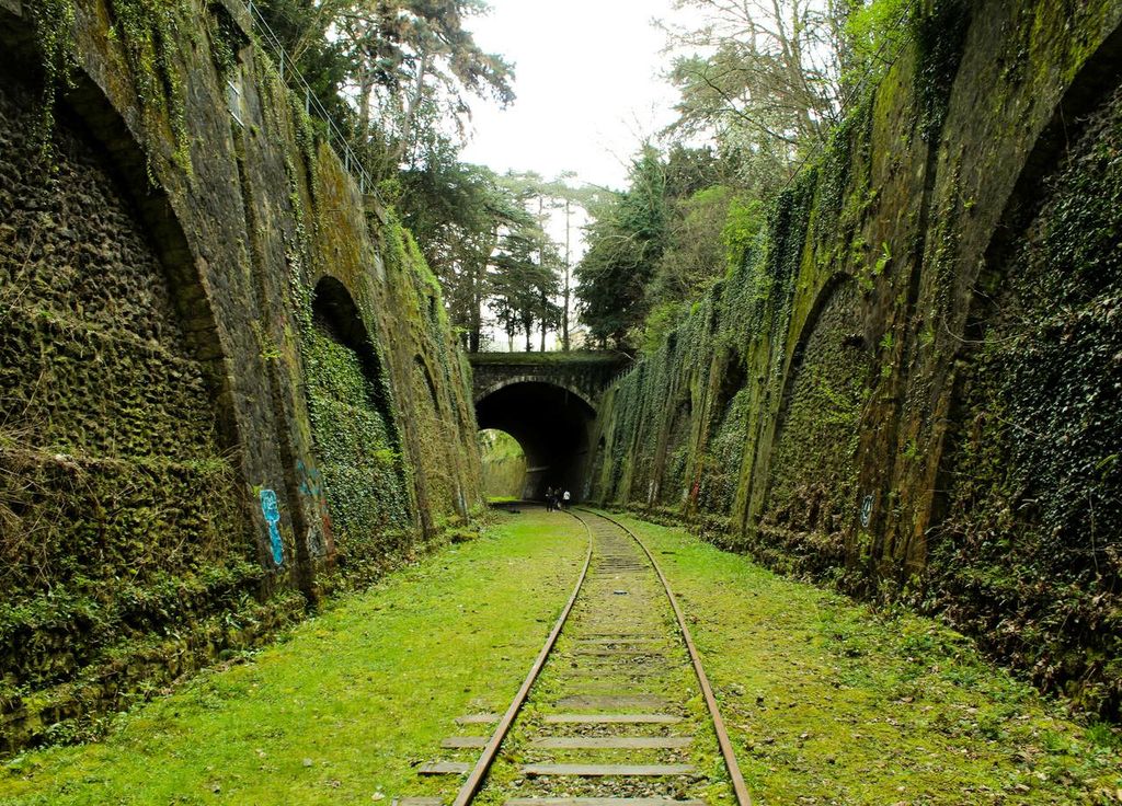 La petite ceinture verte. La petite ceinture verte.