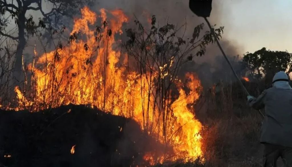 Agosto teve record de incêndios registrados em MG em 2026. Foto: Reprodução/Agência Brasil Agosto teve record de incêndios registrados em MG em 2026. Foto: Reprodução/Agência Brasil