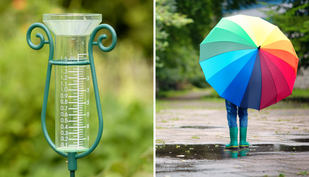 Un país dividido por las lluvias. Conoce los sectores que más húmedos y secos en lo que va del 2026.