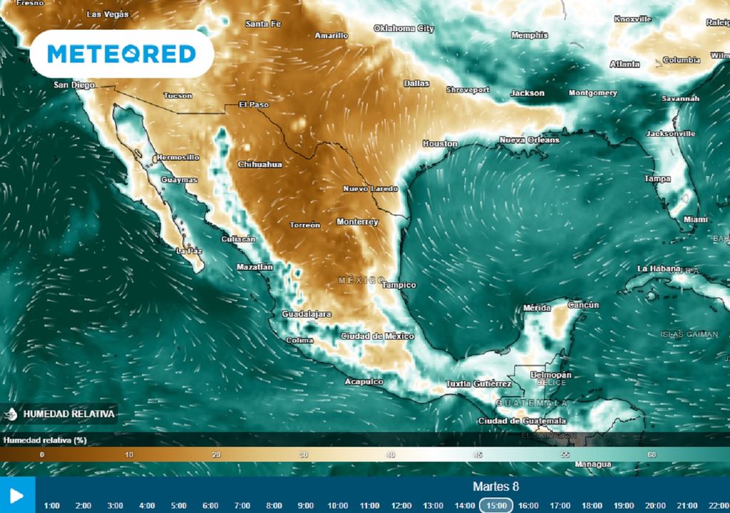Modelo ECMWF - Humedad relativa en %