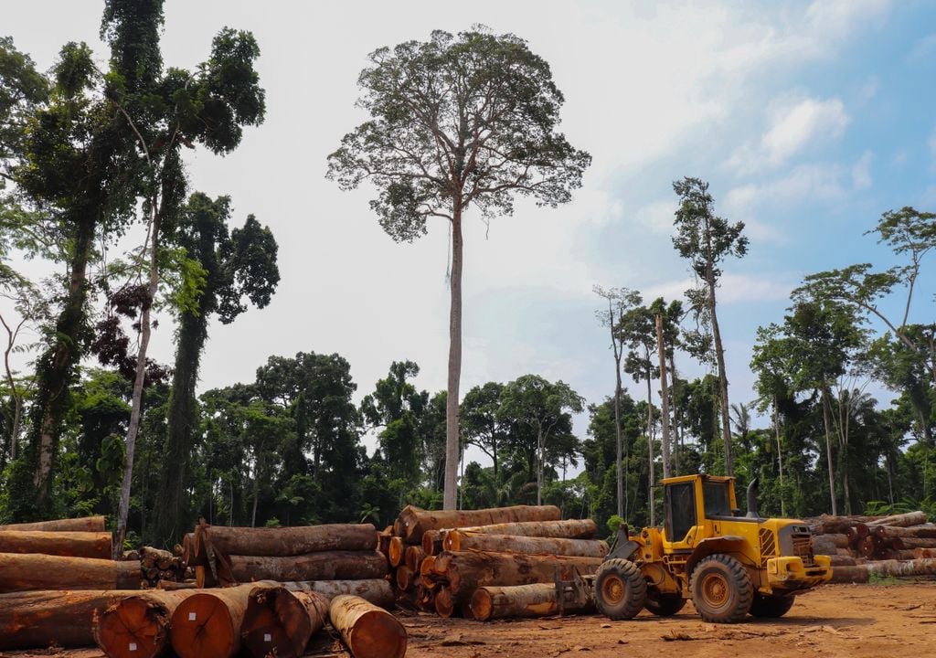 En 2021, il n'y a pas d'effort fédéral pour contrôler la déforestation en Amazonie. Source : Observatoire du climat du Brésil.