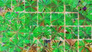 Deforestación en Bolivia