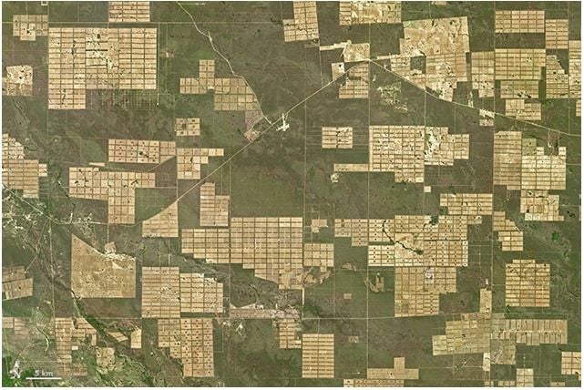 Deforestación En Paraguay