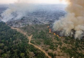 Degradação de florestas na Amazônia Legal bate recorde: aumento de 482% em 2025