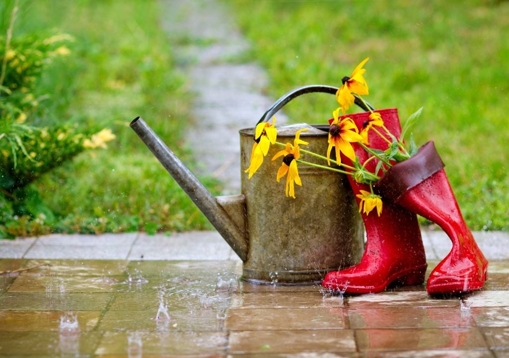 AMBA pasará de jornadas con sabor a primavera a un fin de semana con lluvias La primavera parecía empezar a ganar terreno en AMBA, pero septiembre todavía tiene guardado un poco de invierno.