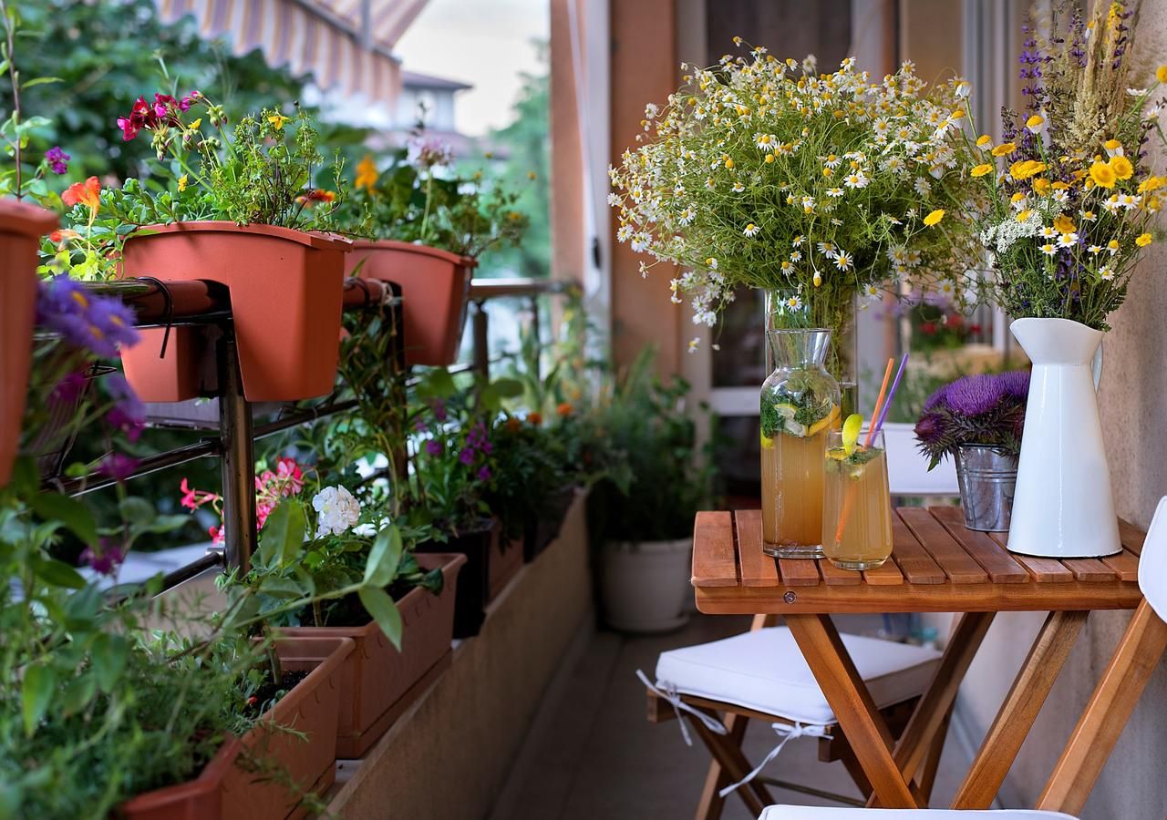 Un balcone fiorito può diventare un rifugio per gli impollinatori e anche uno spazio di contatto quotidiano con la natura.