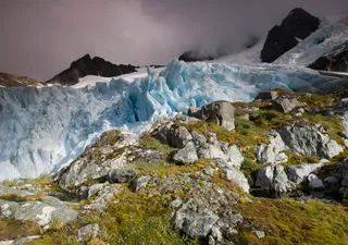 Von weiß zu grün: Die Vegetation in der Antarktis ist auf dem Vormarsch!