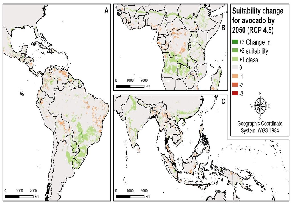 Mapa cambio sustentable uso del suelo paltas 2050 Mapa cambio sustentable uso del suelo paltas 2050