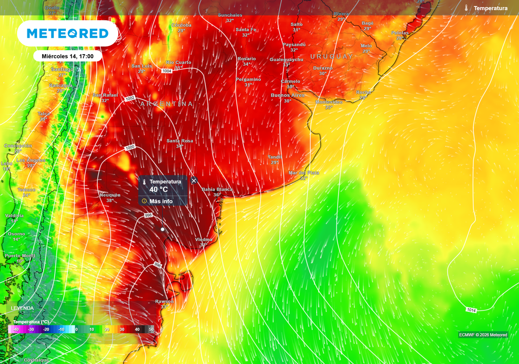 Miércoles 14 a las 17 hs