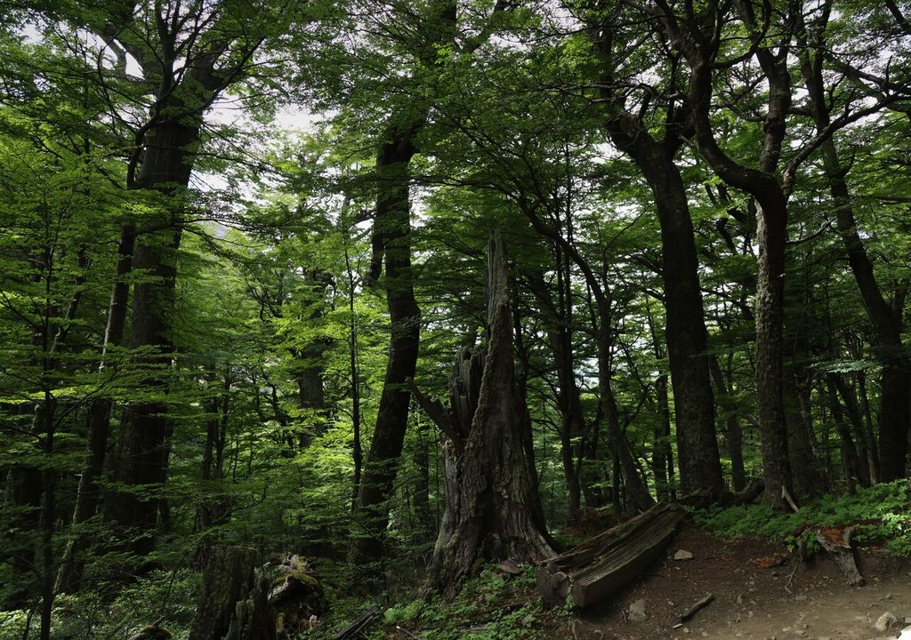 Monumentos naturales Chile