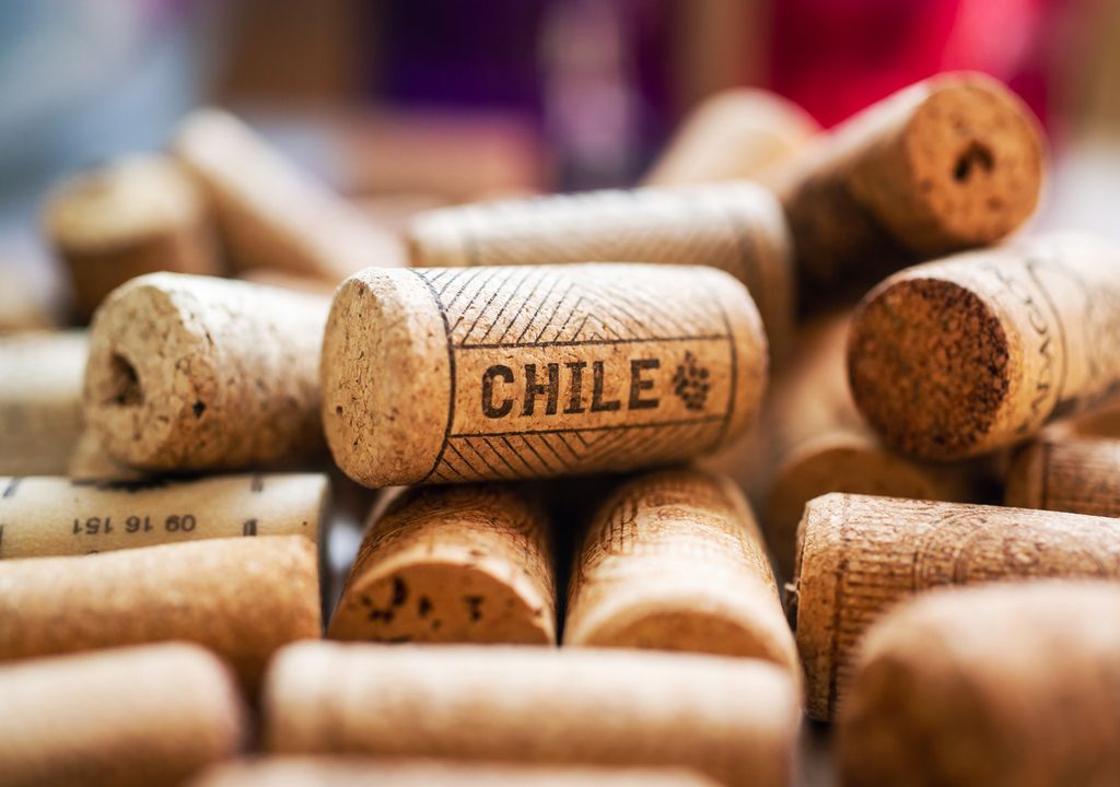 Vino chileno Vino chileno