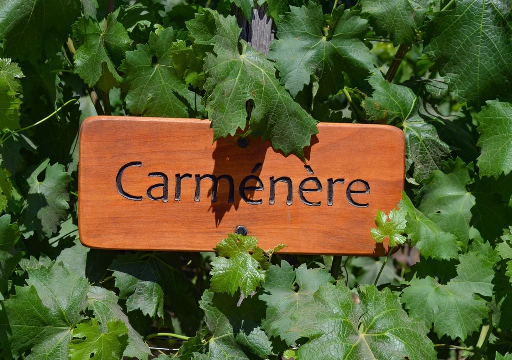 Carmenere