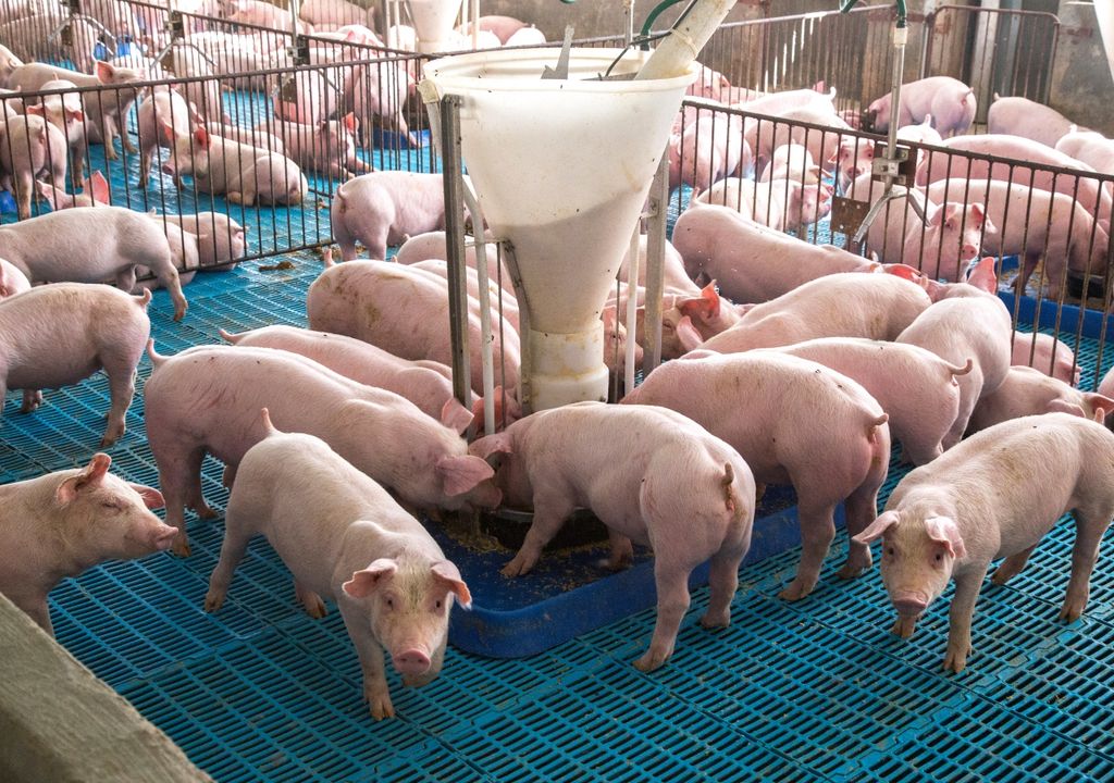 sostenibilidad, cambio climatico sostenibilidad, cambio climatico