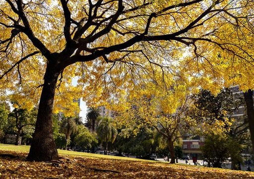 Del respiro del domingo a la inc&oacute;gnita del mi&eacute;rcoles: as&iacute; sigue el pron&oacute;stico en el AMBA