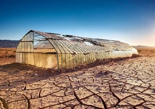 ¿Demasiado calor para vivir? Es solo el comienzo, las zonas inhabitables se triplicarán este siglo 