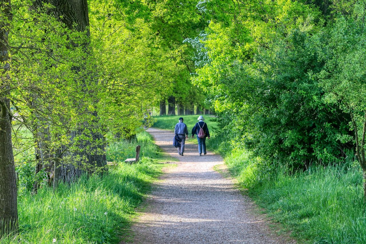 Si haces ejercicio regularmente estás haciendo algo por tu salud, incluida tu salud mental. Caminar es una parte importante de un estilo de vida activo en la vejez.