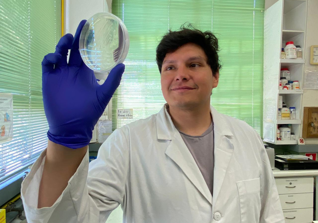 Los siguientes pasos son continuar validando la tecnología en modelos vivos. Foto: Núcleo BioGem.