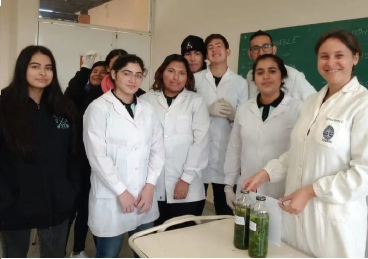 Dengue: alumnos de una escuela de Tucumán junto al CONICET fabrican un repelente natural de mosquitos. Créditos: Agencia TSS