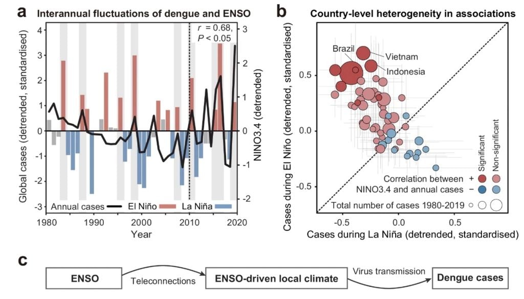 Dengue y clima a) Serie temporal interanual de casos globales de dengue (línea negra) y el índice NINO3.4 para el periodo diciembre-febrero (DJF), calculado como el promedio de las anomalías de la temperatura de la superficie del mar en la región comprendida entre 5°N–5°S y 170°O–120°O. b) Comparación de los casos anuales de dengue durante los años de El Niño y La Niña en cada país. Los puntos representan el número promedio anual de casos por país. c) Esquema del mecanismo propuesto mediante el cual el ENOS influye en los casos de dengue a través de sus teleconexiones con los climas locales. Imagen: Nature Communications.