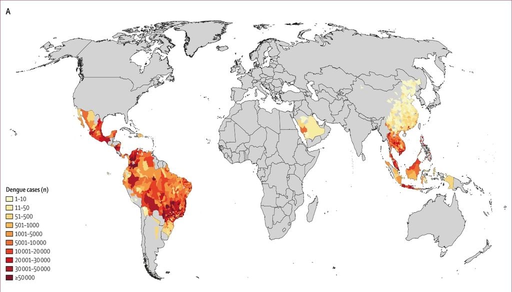 Dengue casos Casos de dengue en 1237 localidades de 21 países durante el período 2000-2019. Imagen: Lancet