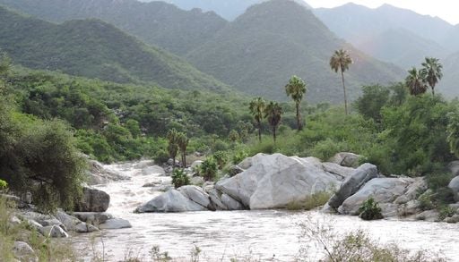 Denuncian riesgo ambiental para la reserva Sierra de La Laguna en Baja California Sur por un proyecto tur&iacute;stico