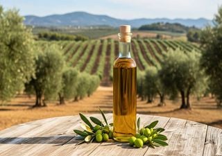 Depois do acordo UE-Mercosul, a Europa estreita la&ccedil;os comerciais com a &Iacute;ndia. Acordo comercial foi assinado em Nova Deli