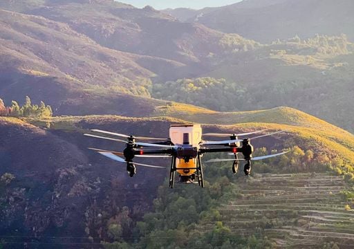 Depois dos fogos no verão, drones lançam sementes para acelerar a reflorestação em Portugal