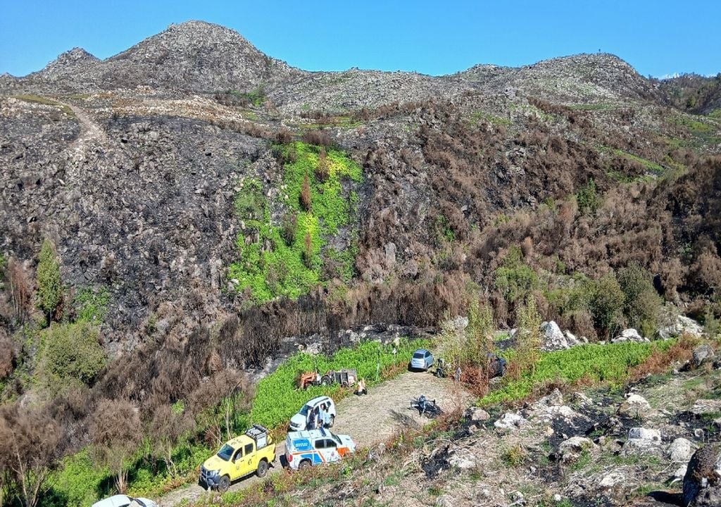 áreas ardidas da serra amarela, no Parque Nacional do Gerês áreas ardidas da serra amarela, no Parque Nacional do Gerês