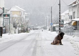 Depressão Fien desencadeia avisos vermelhos. Neve, vento... que riscos há?