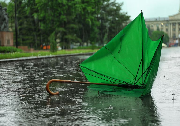 temporal; chuva; vento forte temporal; chuva; vento forte
