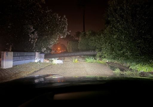 Depress&atilde;o Kristin faz dois mortos e deixa rasto de destrui&ccedil;&atilde;o em todo o pa&iacute;s