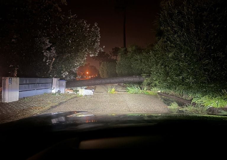 Depress&atilde;o Kristin faz dois mortos e deixa rasto de destrui&ccedil;&atilde;o em todo o pa&iacute;s