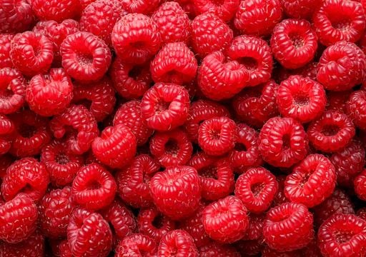 Depress&atilde;o Kristin arrasa cultura dos pequenos frutos em Odemira. Perdeu-se "entre 50% a 70% da capacidade produtiva"