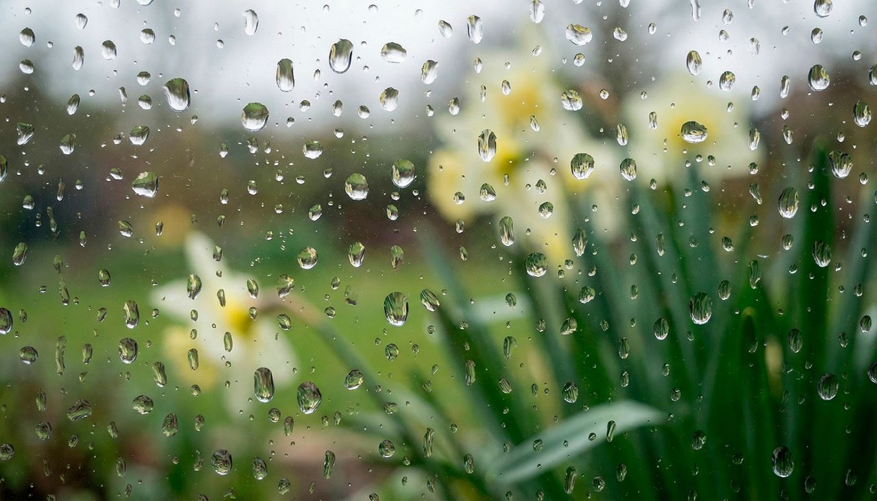 Der Duft nach Regen liegt im Frühling oft in der Luft (Foto: Adobe Stock)