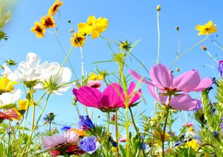 Der Frühling kommt: So mild werden März und April!