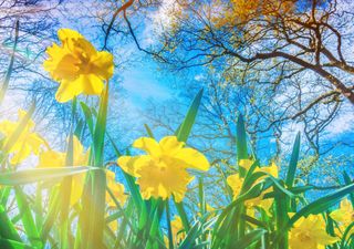 Der Frühling kommt, aber wie lange bleibt er uns treu?