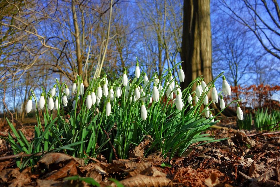 Frühlingsluft bringt 20 Grad Frühlingsluft bringt 20 Grad