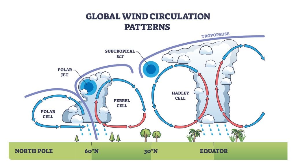 Globale Windzirkulationsmuster zeigen die Luftbewegung in Hadley-, Ferrel- und Polarzellen sowie Jetstreams. Quelle: VectorMine