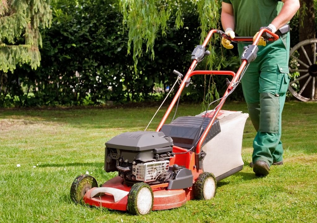 Herbst, Schnitt, Rasen Herbst, Schnitt, Rasen