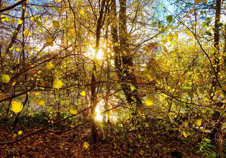 Warmer November Warmer November