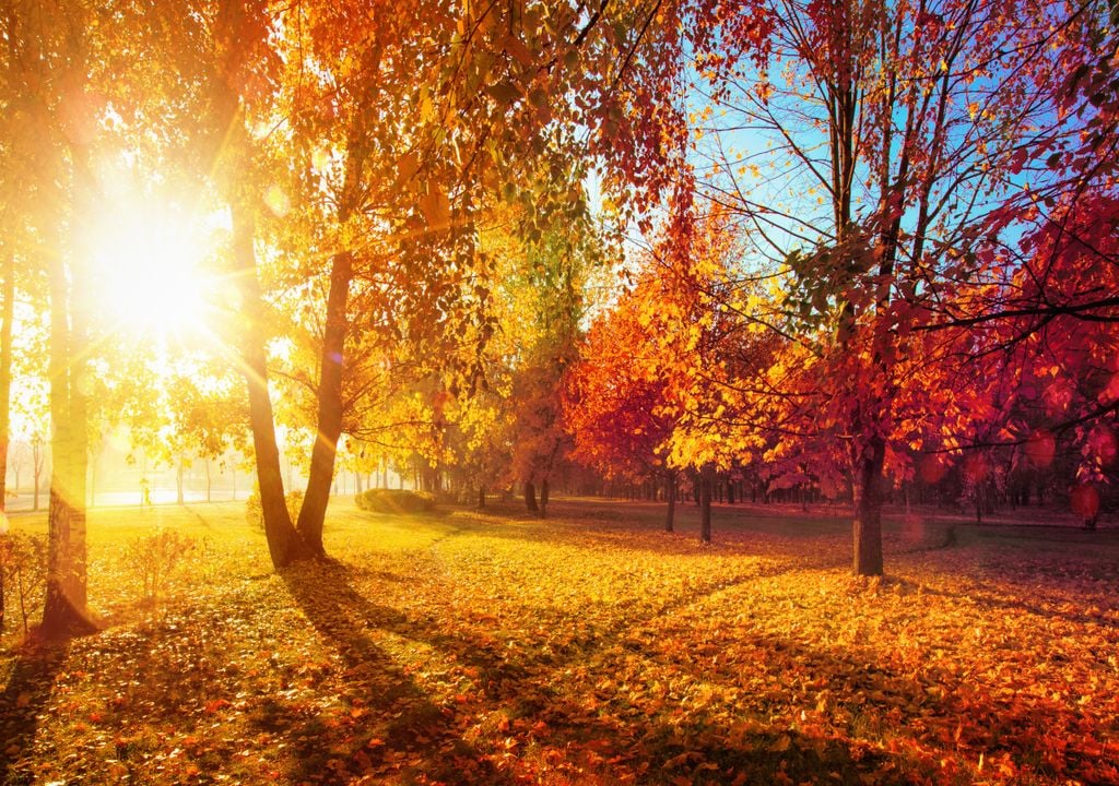 Herbst Sonnenschein