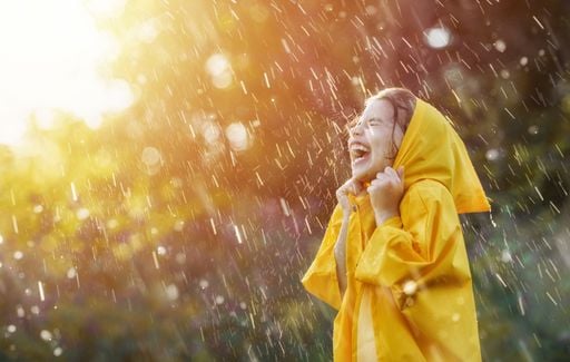 Der Regen war ein "Segen f&uuml;r die Waldbr&auml;nde" - Kommt die Hitze nochmal zur&uuml;ck ins Rheinland?