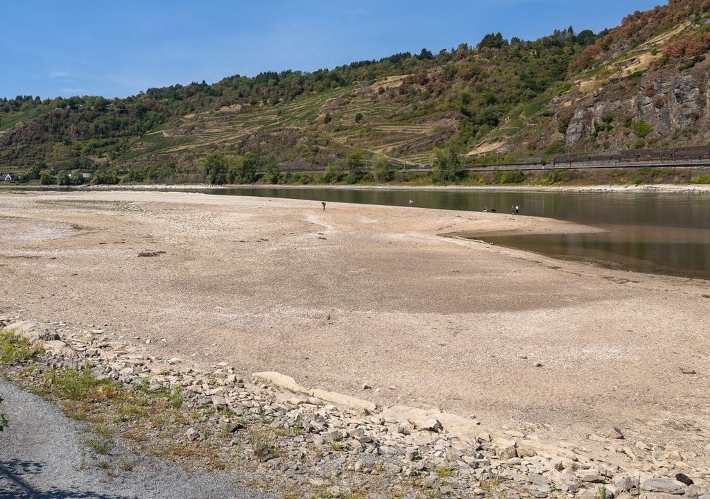 Rhein, dürre, rinnsaal Im Rhein ist kaum noch Wasser. Das wird sich in den kommenden Tagen kaum ändern - trotz Regens.